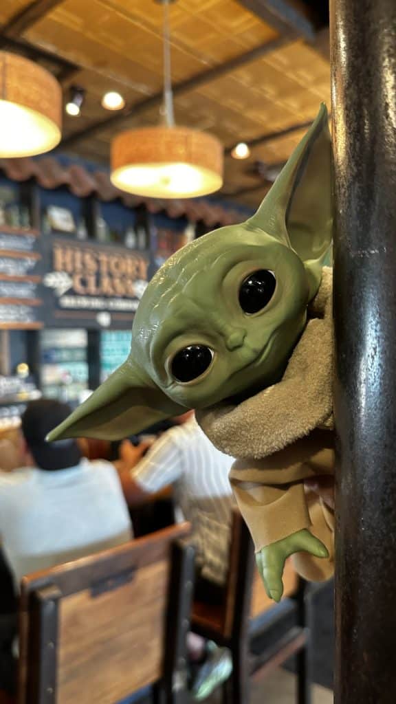 Baby Yoda posed in History Class Brewing Company downtown Panama City for Star Wars Day May the Fourth Event week